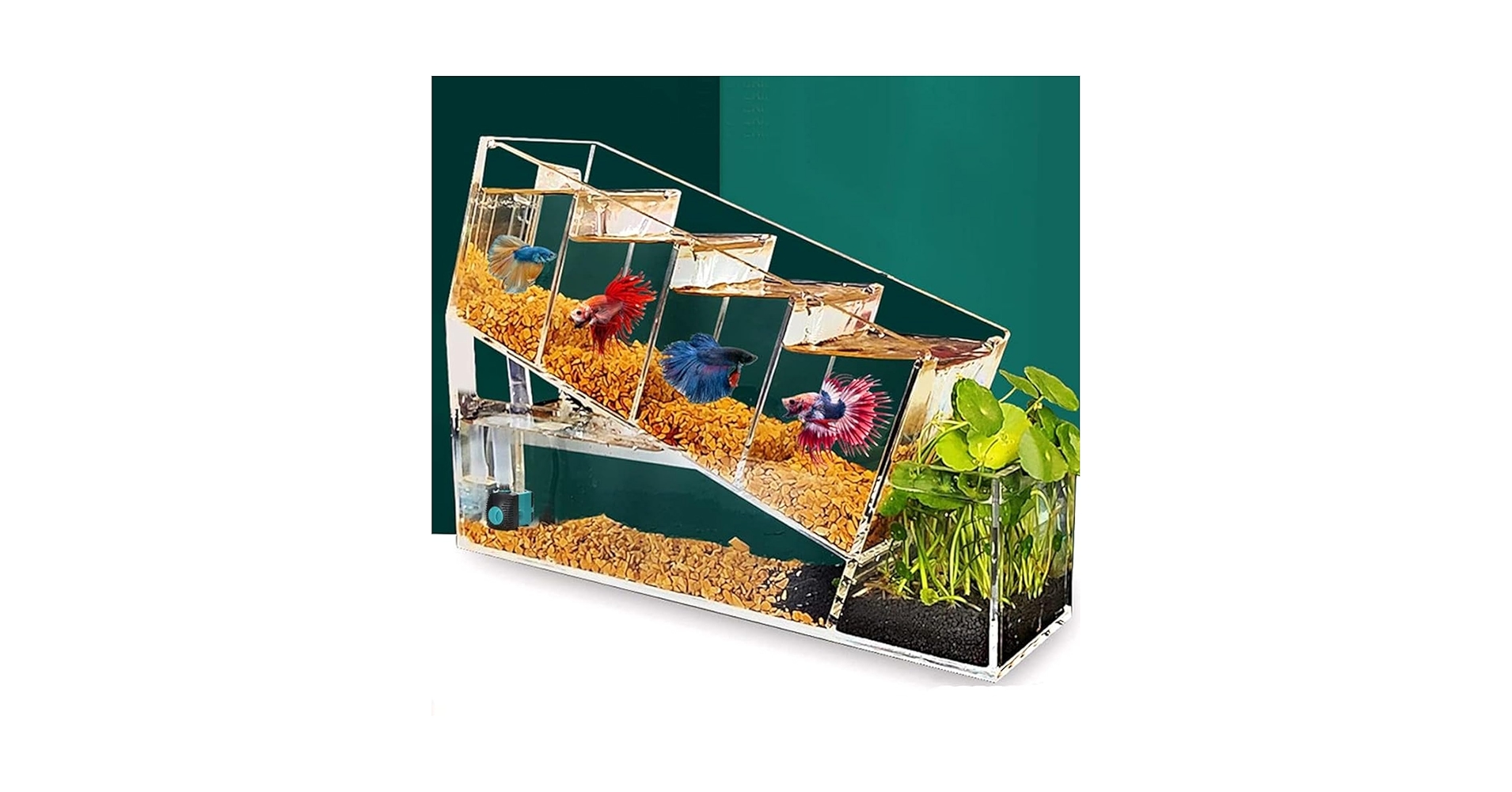 Amazon | Yubbuioミニデスクトップ小型水槽-アクリル素材